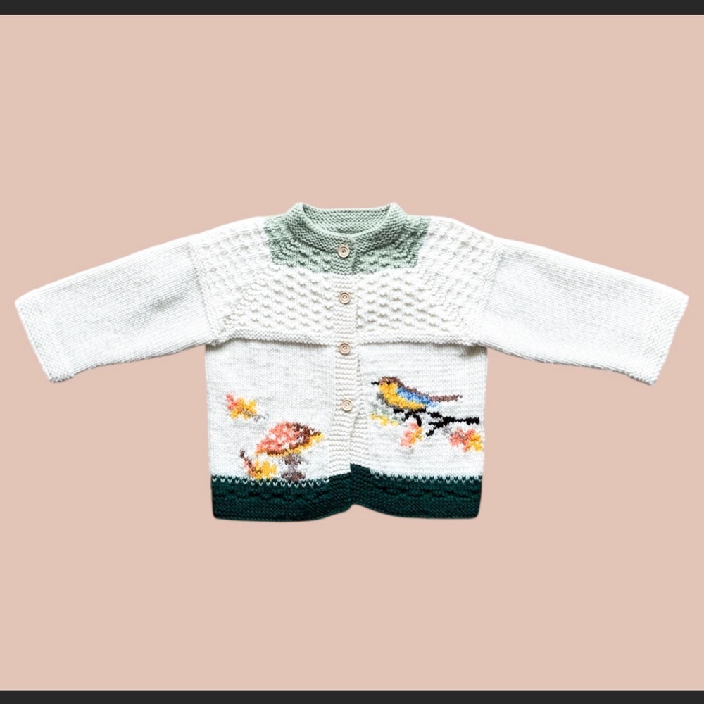 Mushroom Bird Hand Knit Cardigan Sweater Youth P to P: 13.5” L: 14”